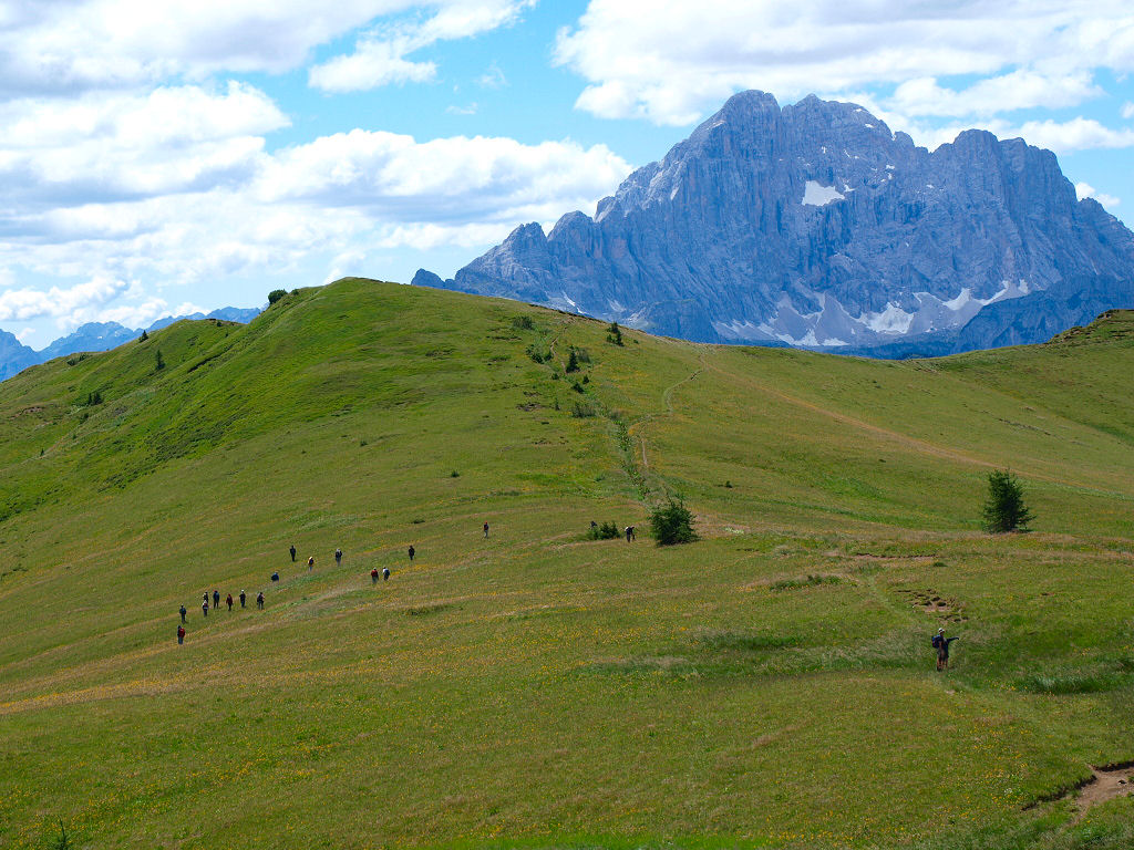 Dal Passo Giau Chamorchis alpina